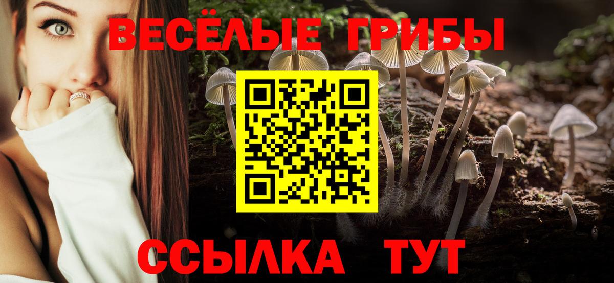 Протвино  Галлюциногенные грибы Psilocybe  Псилоцибиновые грибы Magic Shrooms  Вход с VPN 