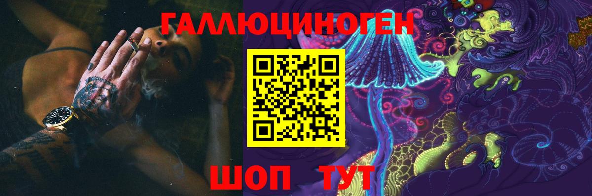 Псилоцибиновые грибы Cubensis Протвино