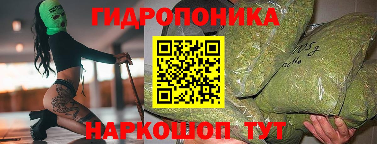Бошки Шишки White Widow  Вход с VPN  Шишки марихуана Amnesia  Протвино  МАРИХУАНА сатива 